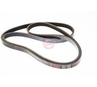 MASTER-SPORT 5PK1888-PCS-MS Cinghia servizi