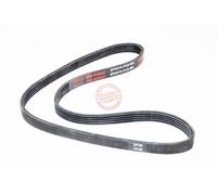 MASTER-SPORT 5PK975-PCS-MS Cinghia servizi