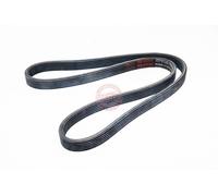 MASTER-SPORT 6DPK1225-PCS-MS Cinghia servizi