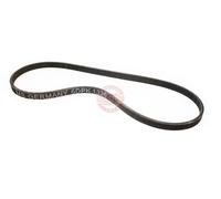 MASTER-SPORT 6DPK1320-PCS-MS Cinghia servizi