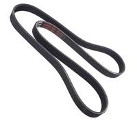 MASTER-SPORT 6PK1306-PCS-MS Cinghia servizi per FORD Focus II Hatchback 1306mm