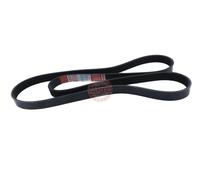 MASTER-SPORT 6PK1555-PCS-MS Cinghia servizi