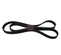MASTER-SPORT 6PK1705-PCS-MS Cinghia servizi
