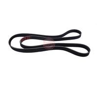 MASTER-SPORT 6PK1775-PCS-MS Cinghia servizi