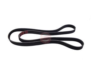 MASTER-SPORT 6PK1775-PCS-MS Cinghia servizi