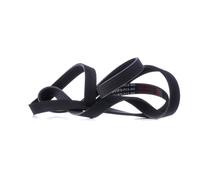 MASTER-SPORT 6PK1870-PCS-MS Cinghia servizi adatto per MERCEDES-BENZ SLK (R170)