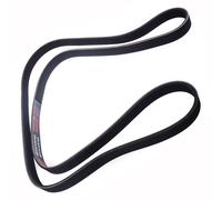 MASTER-SPORT 6PK1873 Cinghia multirib 1873mm per VW; AUDI; BMW 1; MERCEDES; OPEL