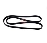 MASTER-SPORT 6PK1885-PCS-MS Cinghia servizi