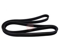 MASTER-SPORT 6PK2120-PCS-MS Cinghia servizi