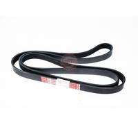 MASTER-SPORT 6PK2150-PCS-MS Cinghia servizi