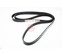 MASTER-SPORT 6PK2225-PCS-MS Cinghia servizi