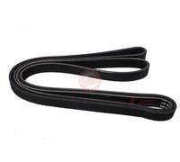 MASTER-SPORT 6PK2236-PCS-MS Cinghia servizi