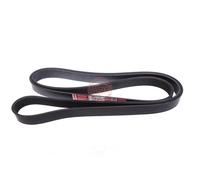 MASTER-SPORT 7PK2283-PCS-MS Cinghia servizi