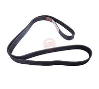 MASTER-SPORT 8PK2189-PCS-MS Cinghia servizi