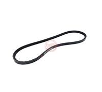 MASTER-SPORT AVX-13X975-PCS-MS Cinghia trapezoidale