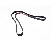 MASTER-SPORT Cinghia Poly-V 5PK1390-PCS-MS per 605 (6B) 1390mm 17,8mm