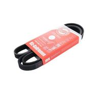 MASTER-SPORT 5PK1546-PCS-MS Cinghia servizi