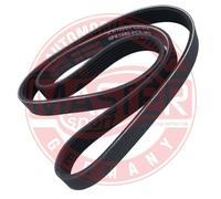 MASTER-SPORT GERMANY Cinghia A Vite Per VW Golf IV 1.4 16V 1.6 Polo Skoda