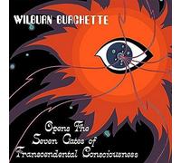 Master Wilburn Burch - FIFTH DIMENSION Opens the Seven Gates of Transcedental C