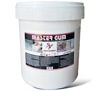 MASTERBRICO Guaina Liquida Impermeabilizzante (1 Kg Grigio) - Impermeabilizzante per Terrazzi, Legno, Tetti, Coperture - Facile da Applicare e Resistente ai Raggi UV - Membrana Pedonabile Ottima Resa