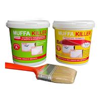 MASTERBRICO Kit Antimuffa Muffa Killer componente B da 1 litro + 1 litro, pitt
