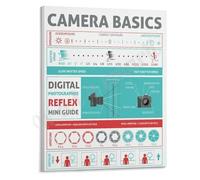 Mastering Your Camera Poster The Complete Basics of Photography Guide Canvas Wall Decor(Unframed,08x12inch(20x30cm))