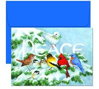 Masterpiece Studios Holiday Collection - Biglietti di Natale con buste, 19,8 x 14,2 cm, motivo: uccelli su ramo