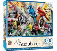 MasterPieces Puzzle da 1000 pezzi per adulti, famiglia o bambini, uccelli da cortile, 48,9 x 68,9 cm
