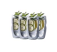 MasterPRO Foodies Mixology, Set di 4 bicchieri da cocktail da 50ml, In borosilicato a doppia parete, Finitura trasparente, Resiste 20ºC a 200ºC, Lavabile in lavastoviglie, Senza sostanze tossiche