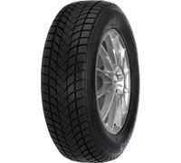 MASTERSTEEL WINTER PLUS IS-W 205/55 R16 91 H M+S Pneumatico Invernali Gomma