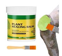 Mastice Cicatrizzante Alberi - Con Pennello Pasta Cicatrizzante E Riparatrice - Da Innesto E Medicazione Per Tagli Degli Alberi,Per Piante Arbusti Bonsai Frutteto Corteccia Giardino Esterno Cortile Fa