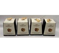 Mastri Pasticceri Borsari - Mini Panettone con Gocce di Cioccolato 100gr