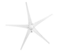 MasYosh Piccolo Generatore Eolico da 800 W, Alternatore con Rotore a Magneti Permanenti a 5 Pale con Design Speciale dello Statore, per Caricare Barche Terrazze Cabine Mobili (Bianca #13)