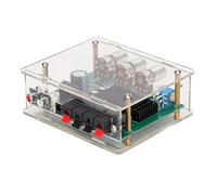 MasYosh Scheda Audio Amplificatore, Amplificatore di Potenza Stereo a Doppio Canale Digitale con Chip TPA3116d2 e Guscio di, per L'audio Fai - -te per Altoparlanti per Auto del Teatro