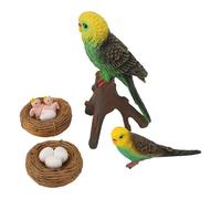 Masyrt del Ciclo di Crescita dei Pappagalli Realistici con Modello di Pappagallo Simulato, Animali da Gioco Educativo per la Decorazione delle Feste di Home Office, Ottima