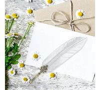 Masyrt Set di Penne D'oca, Penne Calligrafiche da 1,0 Mm, Oro, Argento, Stile retrò con 5 Pennini Sostituibili e Supporto per Scrivere e Disegnare, Regalo per Studenti e amici. (Taglio dell'argento)