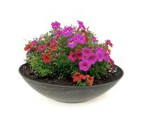 Matches21 Ciotola Rotonda per Fioriera in Plastica - Aspetto Marmo Grigio - Ø 28x8,5 cm - 1 Pezzo