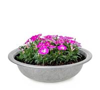 matches21 Ciotole di Zinco Ciotola di Zinco fioriera 1 pz. Ciotola Decorativa Tradizionale in Metallo - Ø 35x9,5 cm