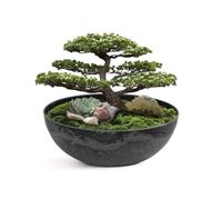 matches21 HOME & HOBBY Ciotola per Piante - Marmorizzata Nera, 20 x 7,5 cm - Uso Esterno/Interno - Ciotola Decorativa Vintage per Vaso di Fiori, Decorazione da Tavolo, o Bagno per Uccelli