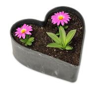 matches21 HOME & HOBBY Vaso per piante a forma di cuore, vintage, nero, 26 x 24 x 7,5 cm, resistente alle intemperie