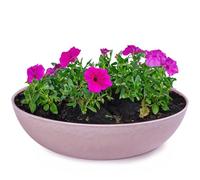 matches21 HOME & HOBBY Vaso per piante per esterni, in marmo rosa antico, 30 x 9 cm, resistente alle intemperie