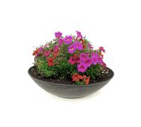 matches21 Vaso da Fiori Tondo Piatto fioriera Ciotola in plastica Effetto Marmo Grigio 1 Pezzo Ø 35x10 cm