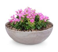 Matches21 - Vaso per fiori da esterno, grande vaso decorativo vintage sabbia beige marmorizzata come vaso da fiori, 37 x 10,5 cm, per bagno per uccelli, decorazione per balcone o cimitero