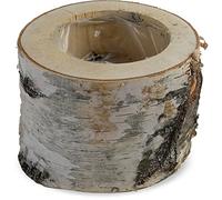 matches21 - Vaso per piante con tronco di betulla, in legno, decorazione naturale, con bicchiere di plastica, 1 pezzo Ø 16-19 x 16 cm