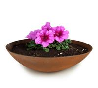 Matches21 - Vaso per piante da esterno resistente alle intemperie - grande ciotola decorativa XXL effetto metallo ruggine come fioriera - piatto da giardino in 45 cm per fiori, bonsai o cimitero