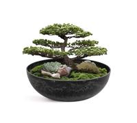 matches21 Vaso per piante per esterni - Vaso decorativo vintage nero marmorizzato come vaso da fiori, vaso per piante - Vaso da 25 x 9 cm come decorazione da giardino, abbeveratoio per uccelli