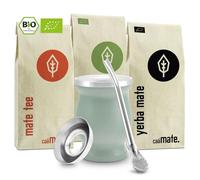 Mate - Set da tè biologico, 3 tipi di mates, in acciaio inox a doppia parete + Bombilla + istruzioni per la preparazione (verde)