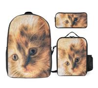 Mateju Set Zaino Scuola per Bambini, Fantastica Stampa di Gatti, Set la Scuola e da Viaggio per Bambini, Composto da Zaino, Portapranzo e Astuccio per Bambini e Bambine Delle Scuole (Pittura ad olio)