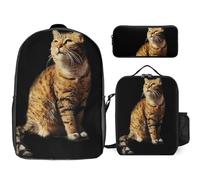 Mateju Set Zaino Scuola per Bambini, Fantastica Stampa di Gatti, Set la Scuola e da Viaggio per Bambini, Composto da Zaino, Portapranzo e Astuccio per Bambini e Bambine Delle Scuole (Nero)