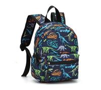 Mateju Zaino Scuola Stampa di Cartone Animato per Bambini, Adolescente e da Scuola Bambini Zaino, Lovely Zaino Bambini Campeggio Viaggio (Dinosauro 3)